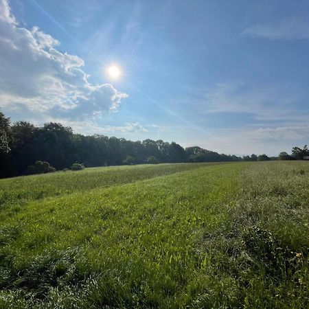 Tinyhaus #1 Huelben - Ortsrand - Kostenlose Parkplaetze Hulben Dış mekan fotoğraf