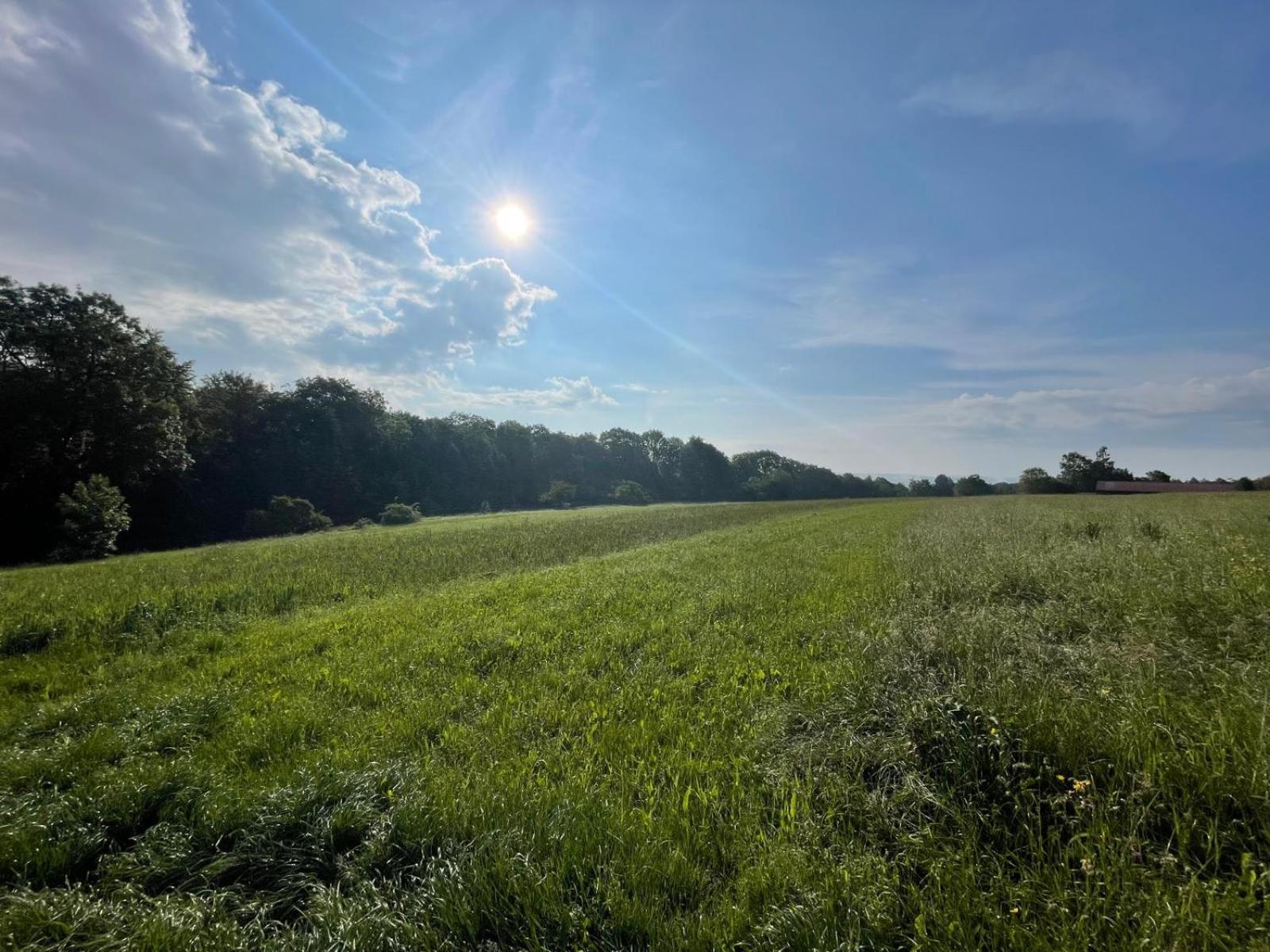Tinyhaus #1 Huelben - Ortsrand - Kostenlose Parkplaetze Hulben Dış mekan fotoğraf